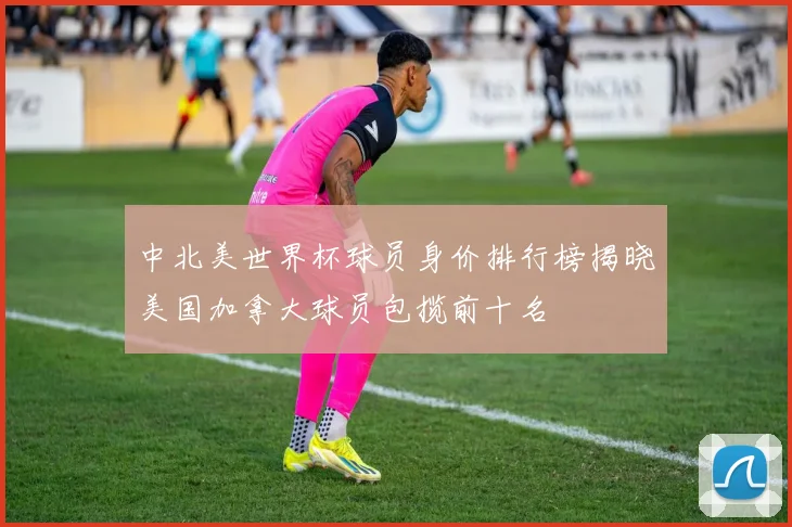 中北美世界杯球员身价排行榜揭晓美国加拿大球员包揽前十名
